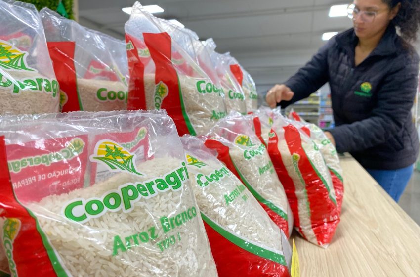 Cooperagri comercializa arroz tipo 1 e amplia atuação regional