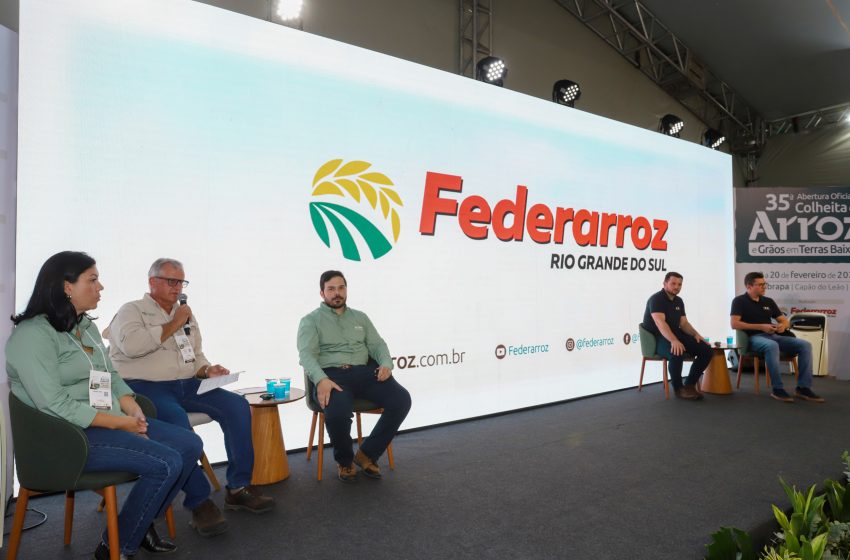  Especialistas detalham funcionamento de ferramenta de crédito disponível para produtor