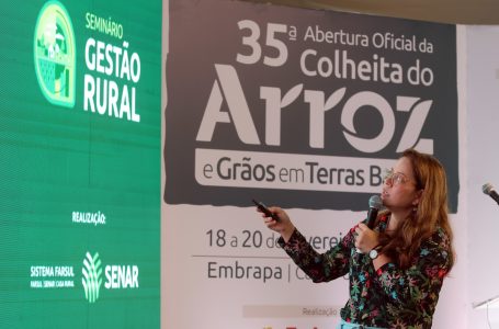 Especialista em mercado internacional analisou a cadeia produtiva do arroz. Foto: Paulo Rossi