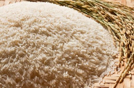 Basmati: demanda em alta na Índia