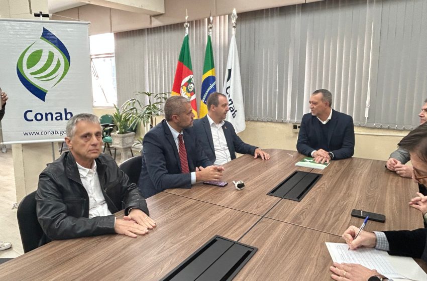  Setor arrozeiro e governo federal buscam soluções para desequilíbrio de preços
