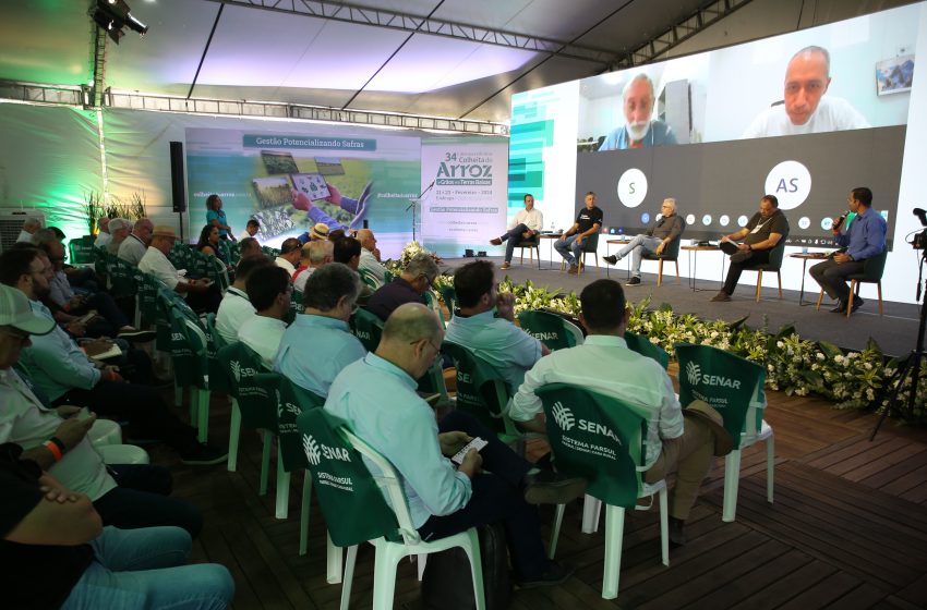  Temas estratégicos para a cadeia do arroz estarão em pauta na Abertura da Colheita