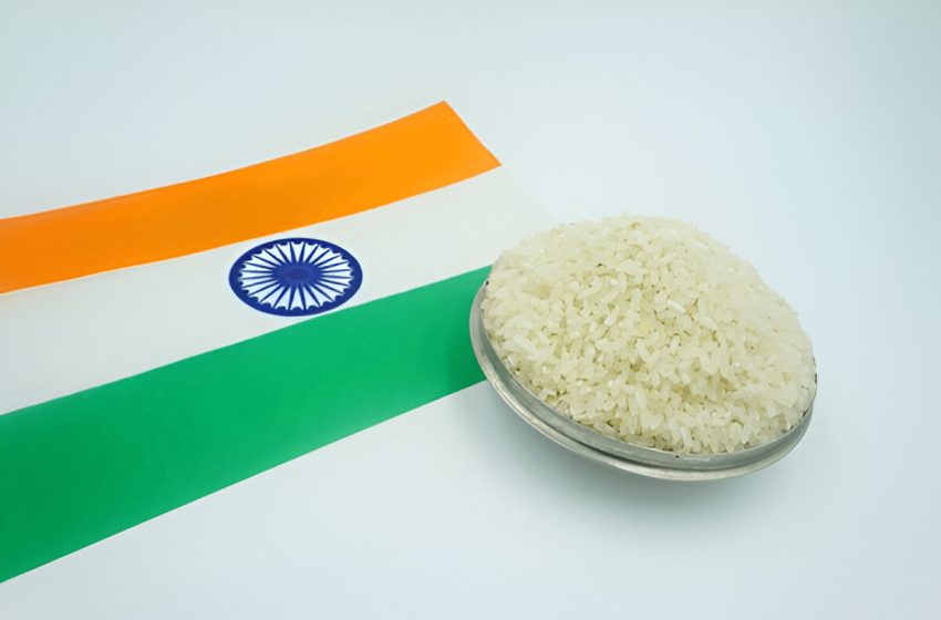 EUA e Paraguai levam Índia à OMC por aumento do programa de compras governamentais do arroz