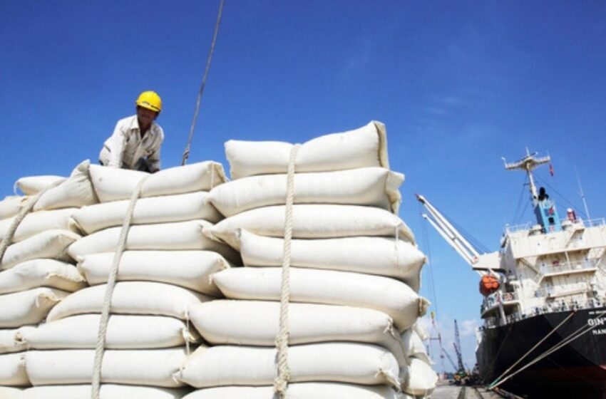  URGENTE: Índia suspende exportação de quebrados e taxa arroz branco e integral