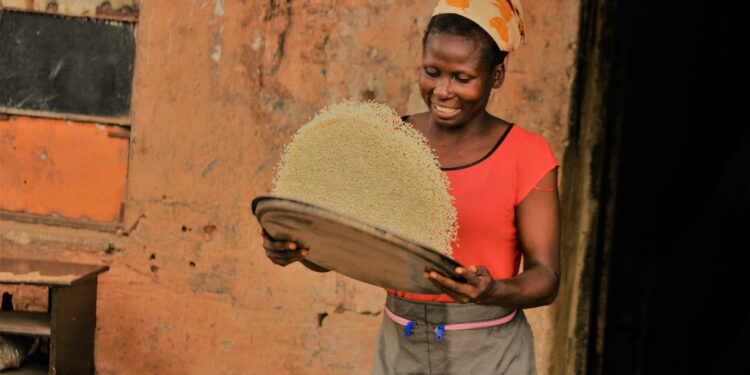  Nigéria ganha com queda dos preços globais do arroz
