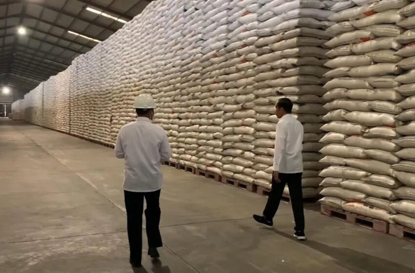  Nova versão: A Índia não tem planos de reduzir as exportações de arroz