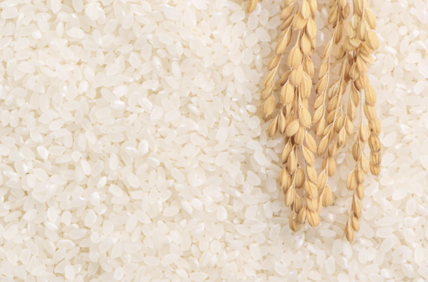  Vietnã vê redução nas exportações de arroz