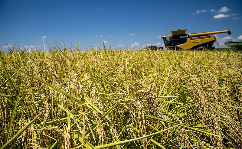  Agricultores enfrentam altos custos de combustível e fertilizantes