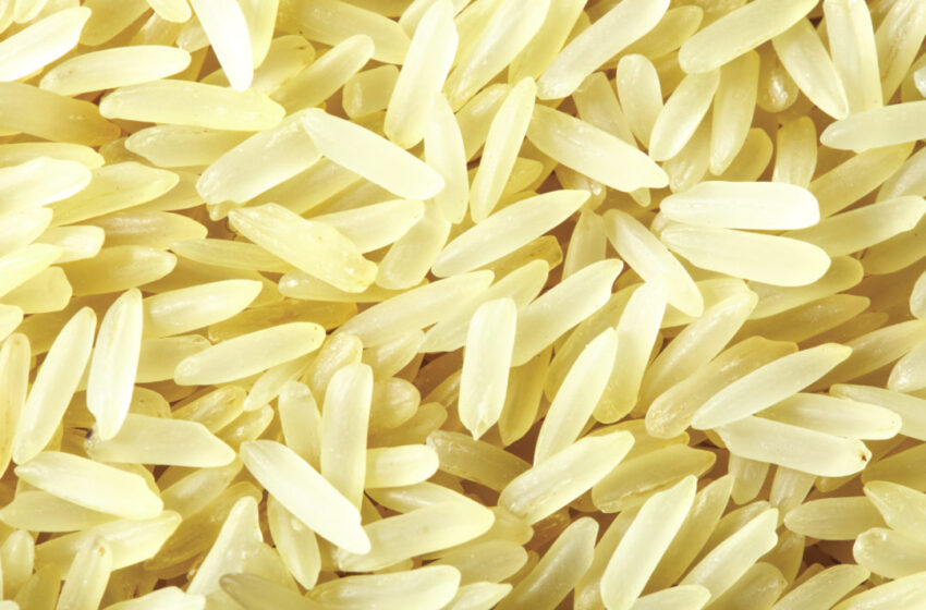  Paquistão registra produção recorde de arroz