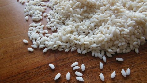  Japão, crise do arroz irrompe: aumento de 71% devido ao clima e ao turismo