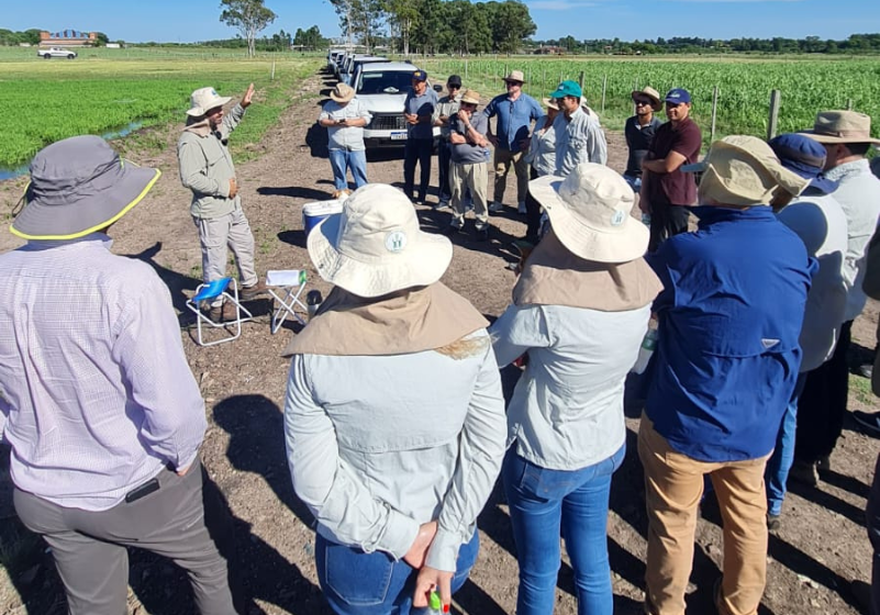  Selo Ambiental do IRGA amplia em 62,4% a área de produção de arroz sustentável no RS