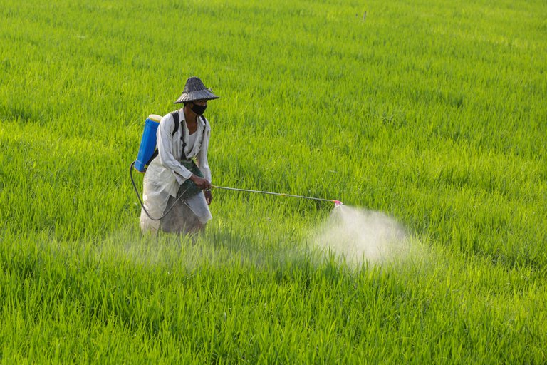  Colômbia pode exportar arroz polido à Cuba