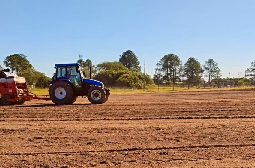 Preparação da Colheita do Arroz 2027 começa em Capão do Leão