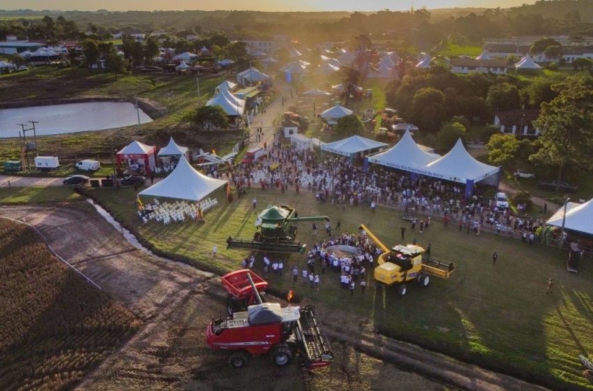 36ª Abertura Oficial da Colheita do Arroz e Grãos em Terras Baixas