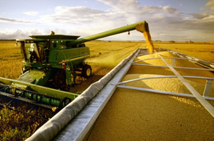  Safra nacional de grãos é estimada em 313 milhões de toneladas