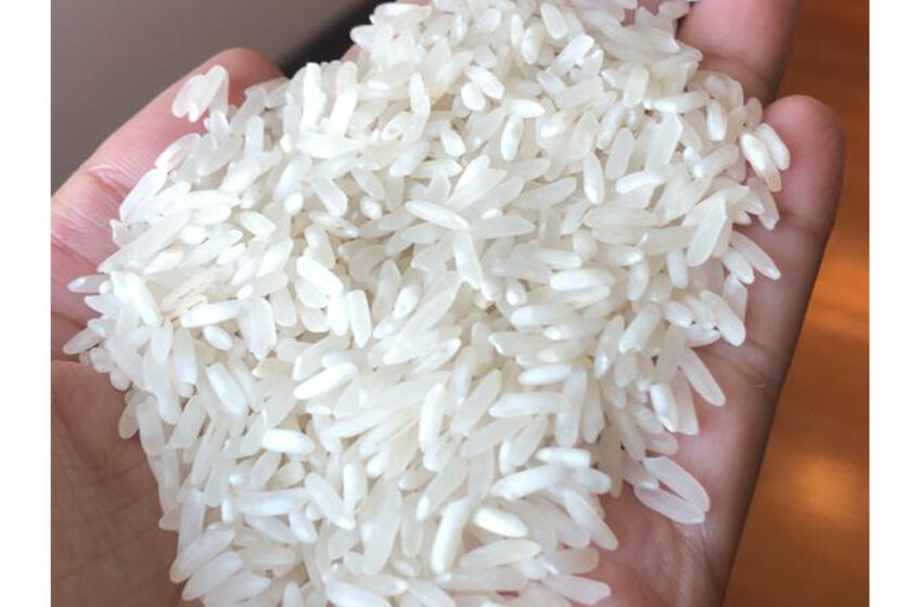  Exportação de arroz do Paquistão para a China pode ultrapassar um milhão de toneladas