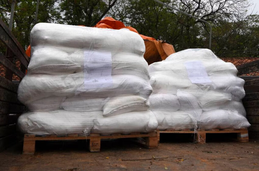  Entidades paraguaias repudiam contaminação de carga de arroz por cocaína