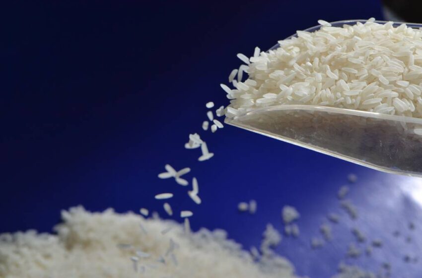  Filipinas ultrapassa a China como maior importador de arroz do mundo
