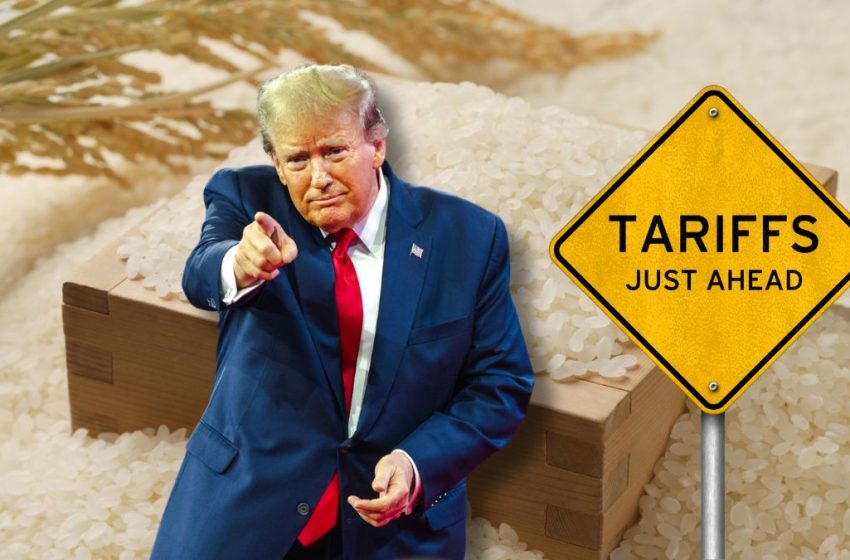  “Dumping” de arroz nos EUA: Agricultores pedem a Trump que redobre as tarifas contra Índia, Tailândia e China.