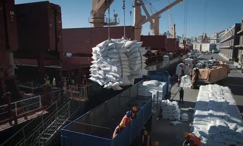  Balança comercial do arroz voltou a ser positiva em agosto