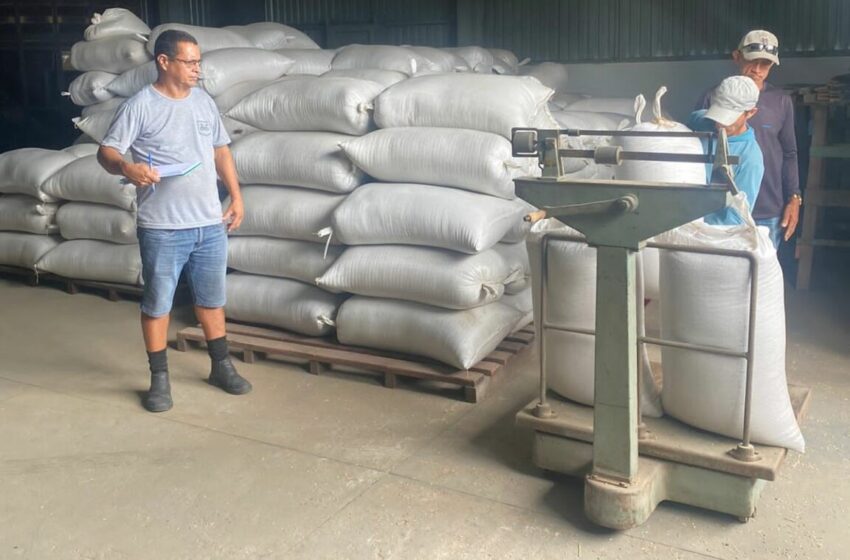  Cageacre divulga aumento no armazenamento de arroz em 25%