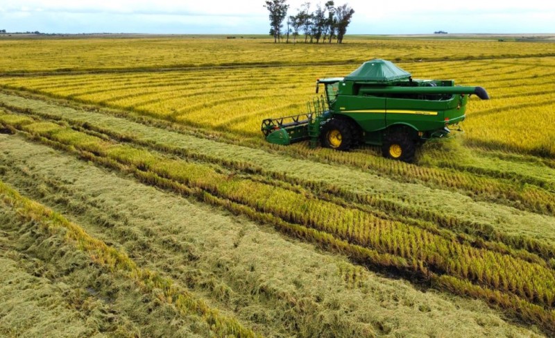  Em abril, Rio Grande do Sul ainda não colheu nem metade das lavouras de arroz