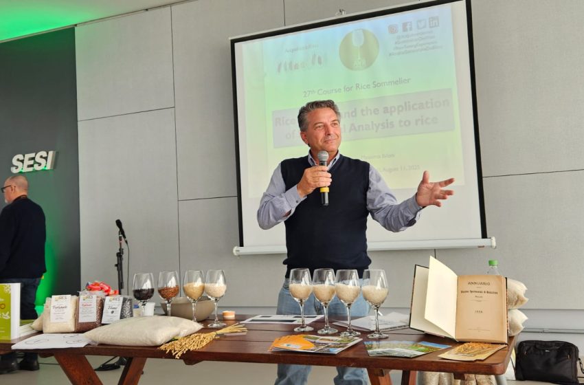  Sommelier italiano defende popularização do uso de diferentes tipos de arroz
