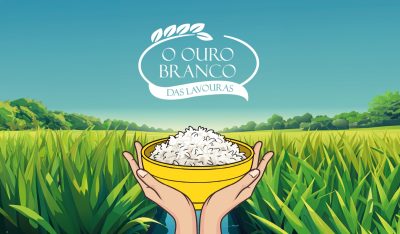 Arroz ganha novo olhar com publicação que destaca o protagonismo do cereal no campo e na alimentação