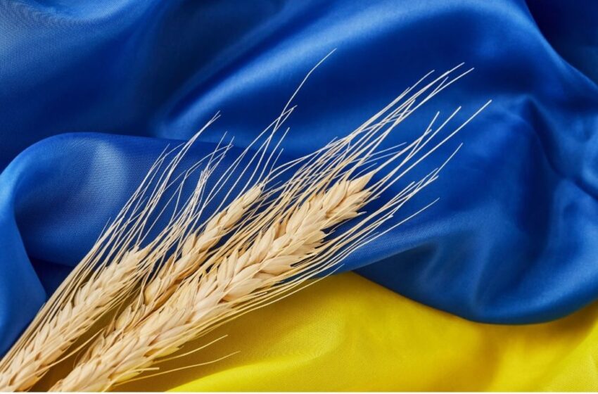  Invasão da Ucrânia significa que países precisam de novas fontes de grãos