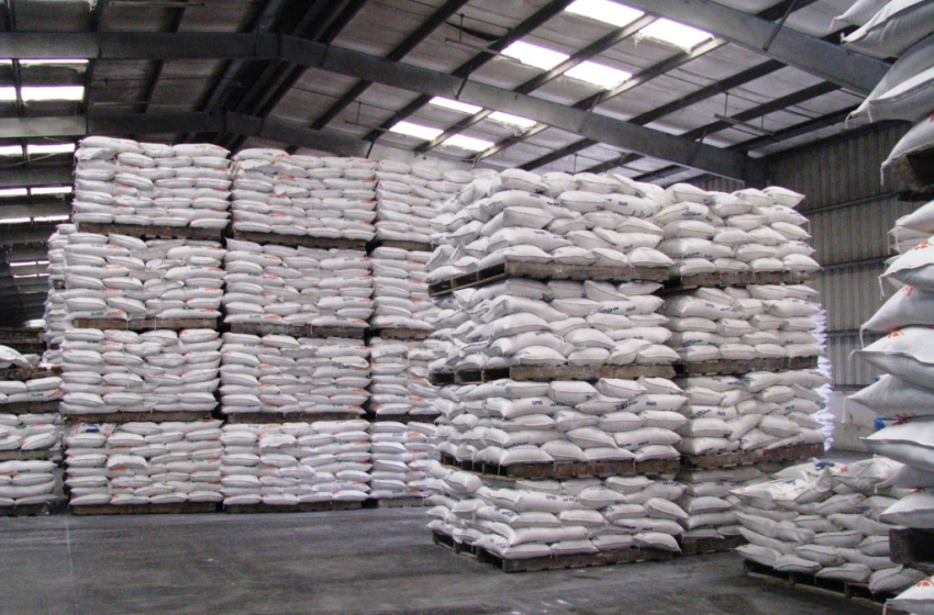  Brasil exporta 389,2 mil toneladas de arroz beneficiado no primeiro semestre de 2025