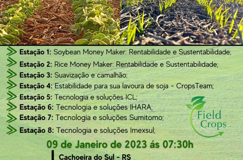  Dia de Campo: Sustentabilidade nos Sistemas de Produção de Arroz e Soja