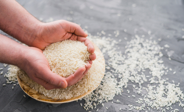  Governo Federal institui programa para estimular produção de arroz