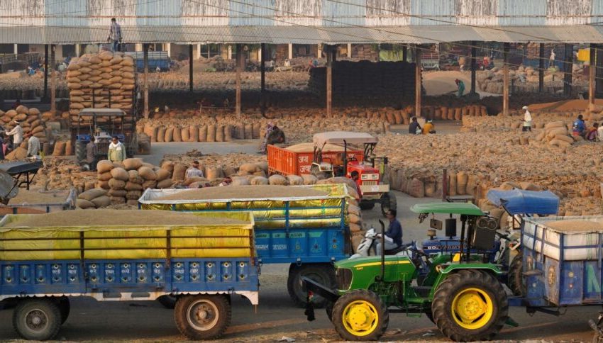 Produção de arroz da Índia deve registrar maior queda em quase 20 anos