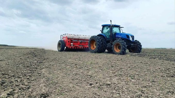  Plantio de arroz tem início em Alegrete