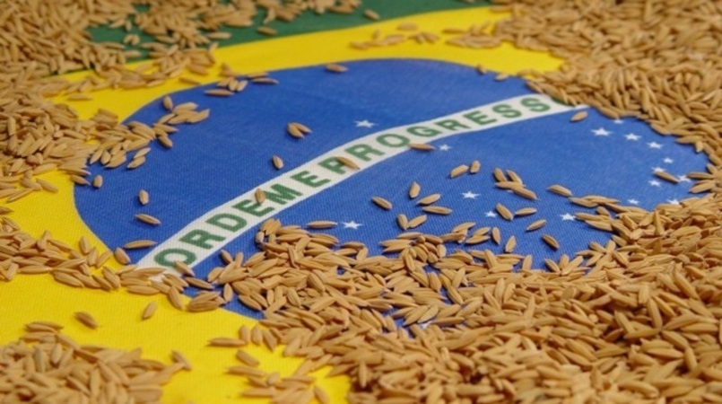  Países do Oriente Médio, África e Europa buscam arroz beneficiado brasileiro