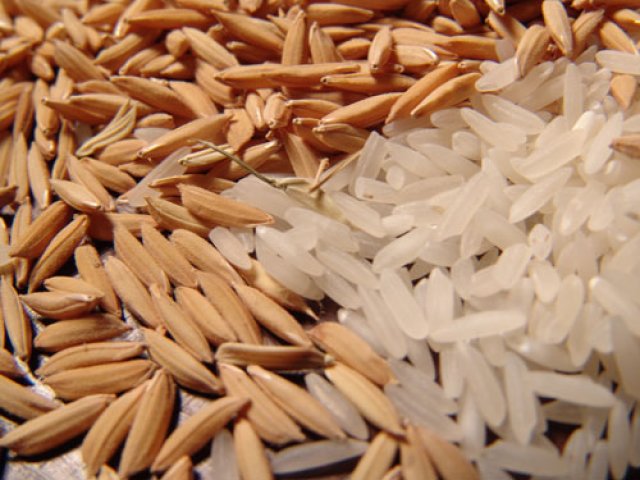  Mercado do arroz firme e com perspectivas de alta