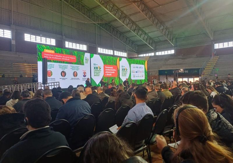 13º Congresso Brasileiro do Arroz Irrigado supera expectativas dos organizadores
