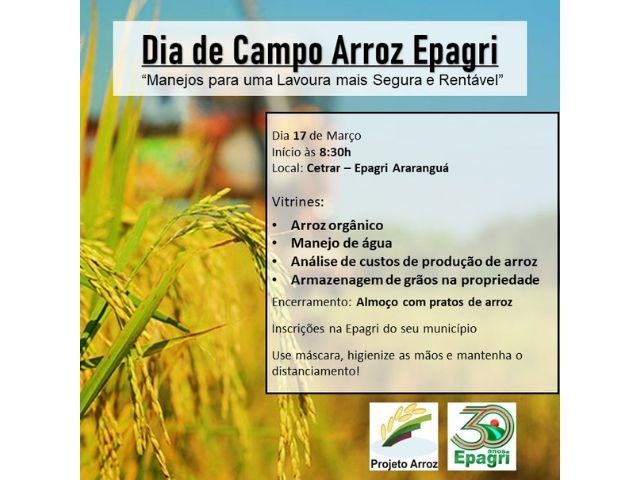  Produção sustentável de arroz é tema de Dia de Campo em Araranguá nesta quinta