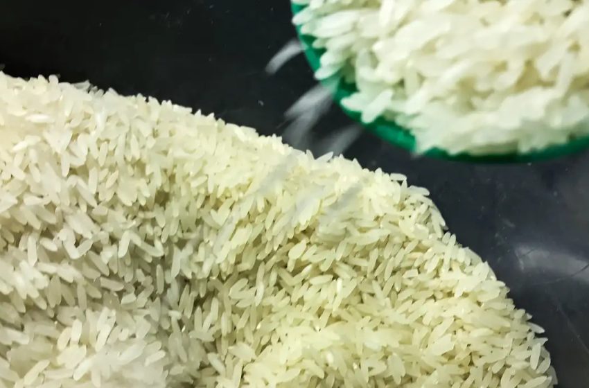  Produtores garantem que não há necessidade de estocar arroz