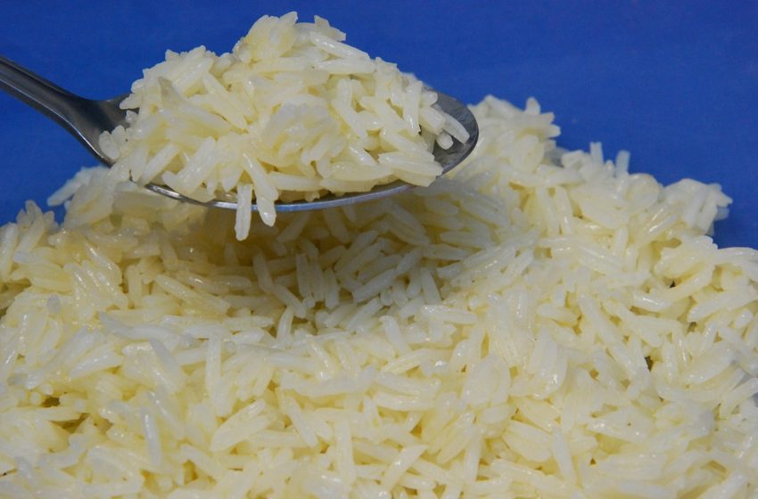  Programa Arroz da Gente receberá sementes crioulas conservadas pela Embrapa