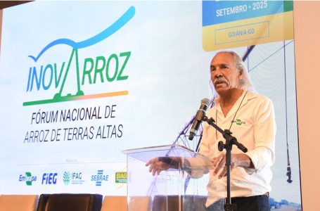 Chefe geral da Embrapa Arroz e Feijão, Elcio Guimarães, na abertura do InovArroz – Foto: Sebastião Araújo