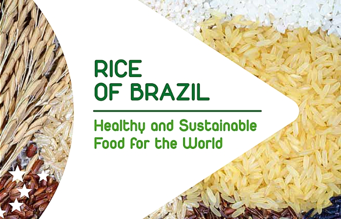  Peça publicitária apoia projeto “Brazilian Rice”, voltado à exportação de arroz beneficiado e de seus derivados