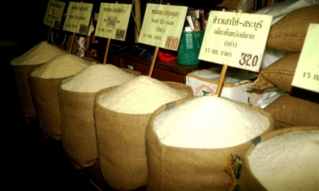  População global x produção de arroz