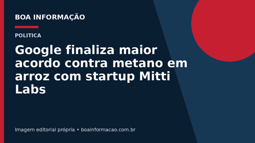 Google finaliza maior acordo contra metano em arroz com startup Mitti Labs