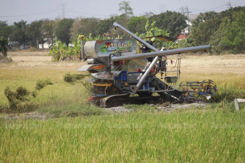  Tailândia busca cooperação para lidar com a queda dos preços do arroz