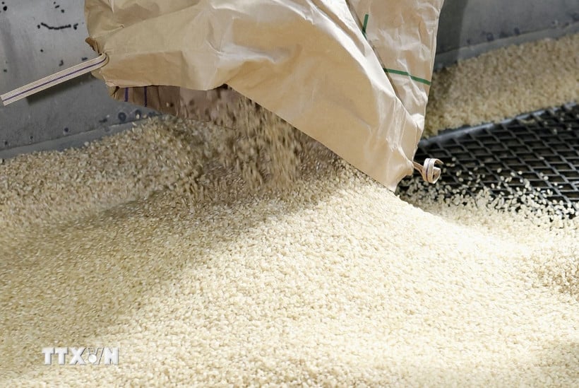  Excesso de oferta e preços mundiais do arroz caem para o menor nível em 8 anos