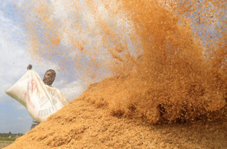 Produtor descarrega cascas de arroz antes de queimá-las para produzir fertilizantes diante da escassez, no Quênia. (Foto: Reuters)