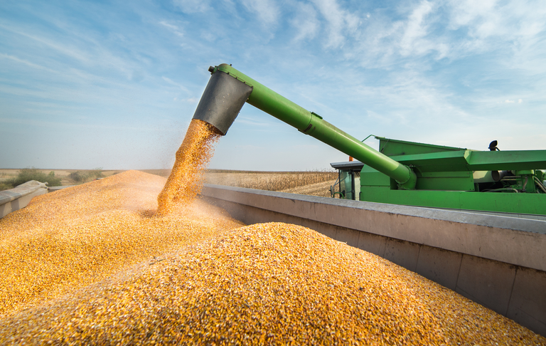  Produção de grãos chegará a 390 milhões de toneladas até 2033