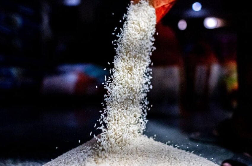  Em 2023, as exportações de arroz totalizaram US$ 622 milhões e 1,73 milhão de t1,73 milhão de t