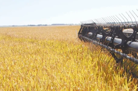 Investimento agregou 6.162 hectares à área produtiva da empresa uruguaia